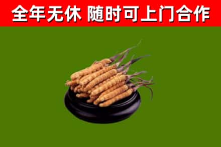 渠县区烟酒回收冬虫夏草.jpg